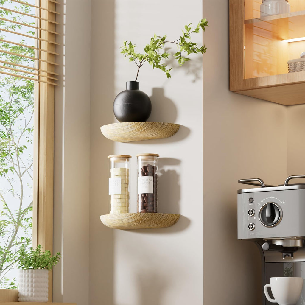 QsQueen Half Round Floating Shelves for Wall, 2 Pack Small Paulownia Wood, Screw Mount, for Plants & Decor