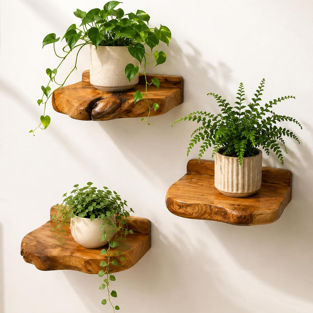 Small Floating Shelf for Wall Set of 3 Natural Cedar Wood 6 Inch Mini Wall Shelves Decor Plant Display Collectibles Mounted Kitchen Bathroom Bedroom Corner Decorative Storage Tiny Stand