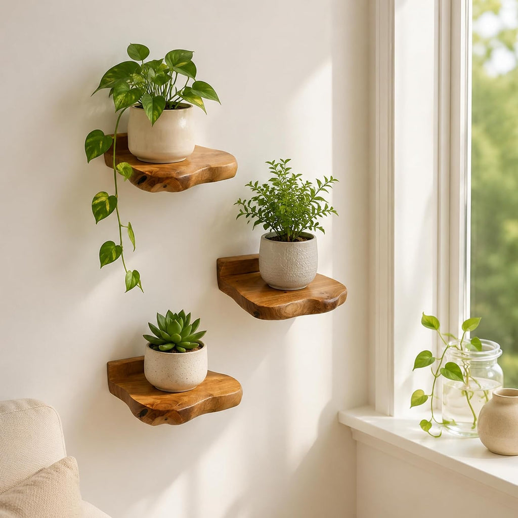Small Floating Shelf for Wall Set of 3 Natural Cedar Wood 6 Inch Mini Wall Shelves Decor Plant Display Collectibles Mounted Kitchen Bathroom Bedroom Corner Decorative Storage Tiny Stand